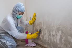 Best Airborne Mold Testing in Boston Heights, OH